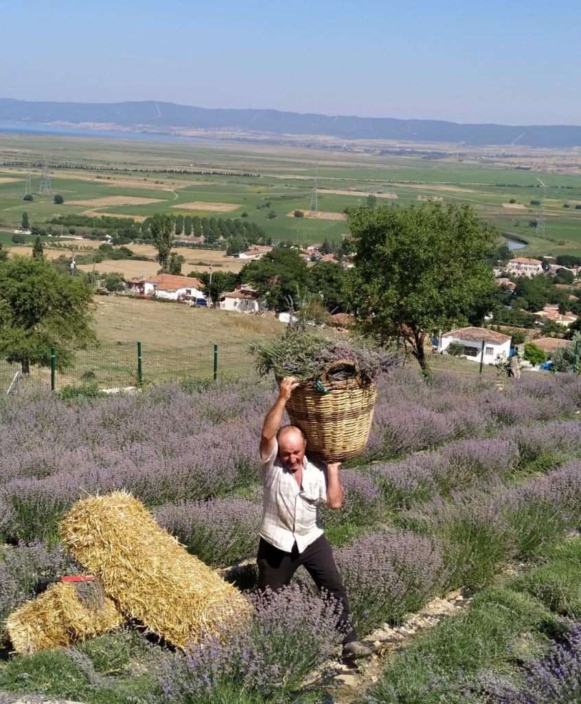 WhatsApp Görsel 2025-04-27 saat 13.18.33_ba76461e